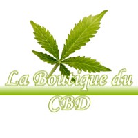 LA BOUTIQUE DU CBD PINTHEVILLE 